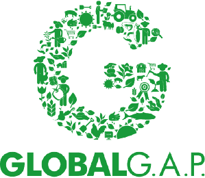 project-img